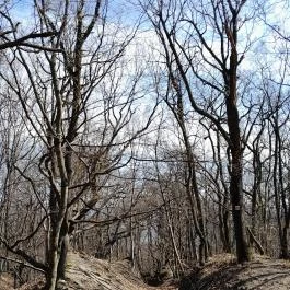 Vörös-kő, Tahitótfalu - Egyéb