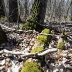 Vörös-kő Tahitótfalu - Egyéb