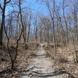 Vörös-kő, Tahitótfalu - Egyéb