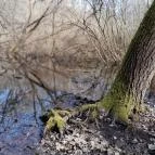 Vörös-kő Tahitótfalu - Egyéb