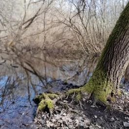 Vörös-kő, Tahitótfalu - Egyéb