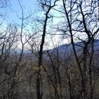 Vörös-kő Tahitótfalu - Egyéb