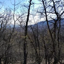 Vörös-kő, Tahitótfalu - Egyéb