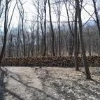 Vörös-kő Tahitótfalu - Egyéb