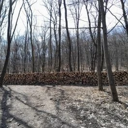 Vörös-kő, Tahitótfalu - Egyéb