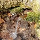 Vörös-kő Tahitótfalu - Egyéb