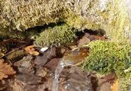 Vörös-kő Tahitótfalu