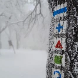 Zsindelyes Vendéglő, Dobogókő - Egyéb