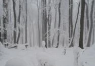 Zsindelyes Vendéglő Dobogókő