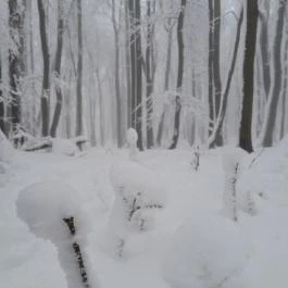 Zsindelyes Vendéglő, Dobogókő - Egyéb