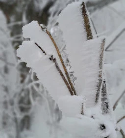 Zsindelyes Vendéglő