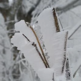Zsindelyes Vendéglő, Dobogókő - Egyéb