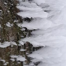 Zsindelyes Vendéglő, Dobogókő - Egyéb