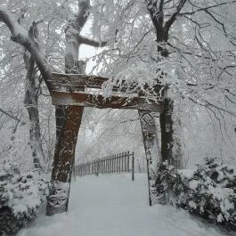 Zsindelyes Vendéglő, Dobogókő - Egyéb
