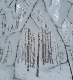Zsindelyes Vendéglő