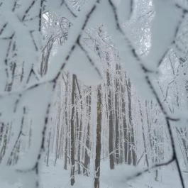Zsindelyes Vendéglő, Dobogókő - Egyéb