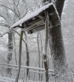 Eötvös Lóránt Menedékház - Turistamúzeum