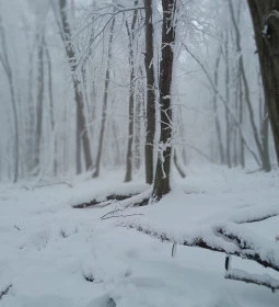 Zsindelyes Vendéglő