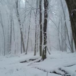 Zsindelyes Vendéglő, Dobogókő - Egyéb