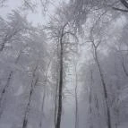 Zsindelyes Vendéglő Dobogókő - Egyéb