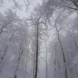 Zsindelyes Vendéglő, Dobogókő - Egyéb