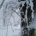 Zsindelyes Vendéglő Dobogókő - Egyéb