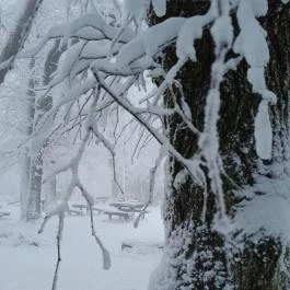 Zsindelyes Vendéglő, Dobogókő - Egyéb