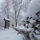 Zsindelyes Vendéglő Dobogókő - Egyéb