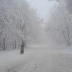 Zsindelyes Vendéglő Dobogókő - Egyéb