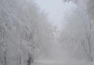 Zsindelyes Vendéglő Dobogókő Zsindelyes Vendéglő Dobogókő