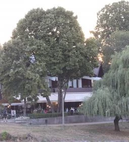 Arany Szarvas Fogadó