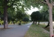 Arany Szarvas Fogadó Győr