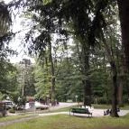 Hotel Lövér Sopron - Környék