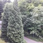 Hotel Lövér Sopron - Környék