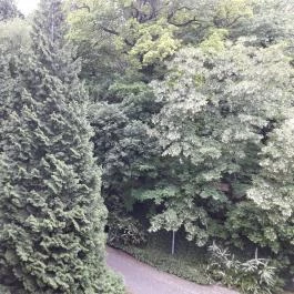 Hotel Lövér Sopron - Környék