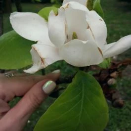 Batthyány Kastélyszálló Zalacsány - Egyéb