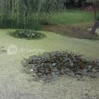 Villa Rigo Panzió Verpelét - Medence/kert