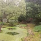 Villa Rigo Panzió Verpelét - Környék