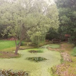 Villa Rigo Panzió, Verpelét - Környék