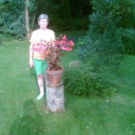 Bodza Vendégház, Demjén - Medence/kert