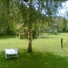 Bodza Vendégház, Demjén - Medence/kert