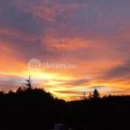 Gosztola Gyöngye-az erdő szállodája Gosztola - Egyéb