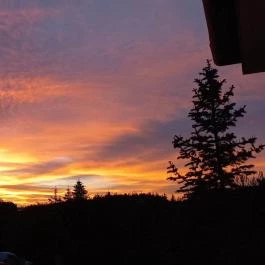 Gosztola Gyöngye-az erdő szállodája Gosztola - Egyéb