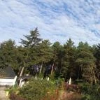 Gosztola Gyöngye-az erdő szállodája Gosztola - Egyéb