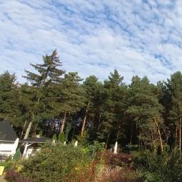 Gosztola Gyöngye-az erdő szállodája Gosztola - Egyéb