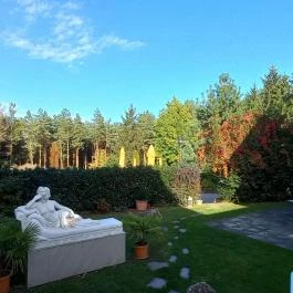 Gosztola Gyöngye-az erdő szállodája Gosztola - Egyéb