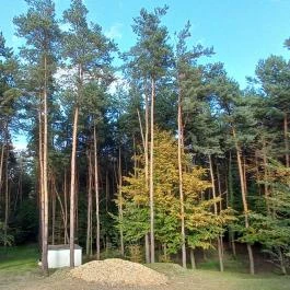 Gosztola Gyöngye-az erdő szállodája Gosztola - Egyéb