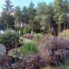 Gosztola Gyöngye-az erdő szállodája Gosztola - Egyéb