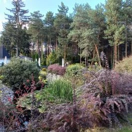 Gosztola Gyöngye-az erdő szállodája Gosztola - Egyéb