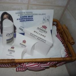 Residence Hotel Balaton, Siófok - Egyéb